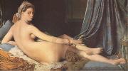 Jean Auguste Dominique Ingres La Grande Odalisque (mk05) oil painting picture wholesale